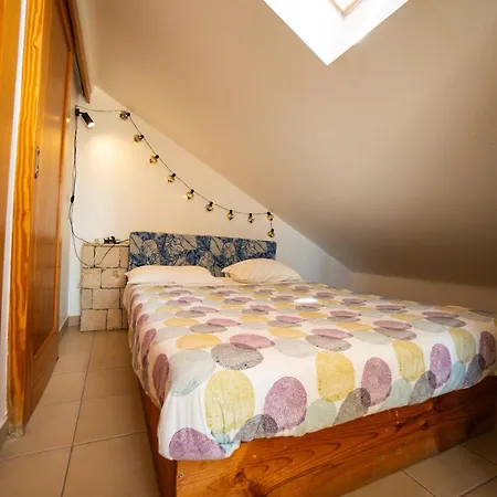 Vandrerhjem Alex Surf