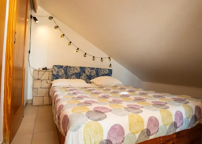 אכסניה Alex Surf