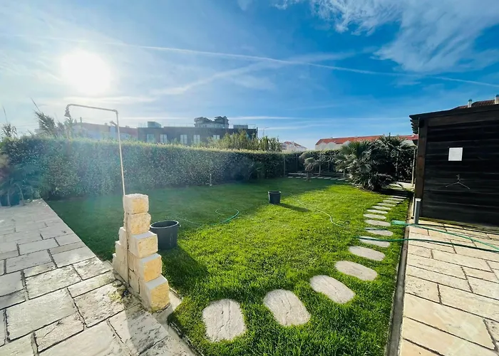 אכסניה Alex Surf בליאל