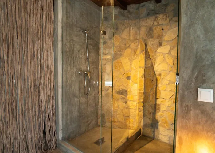 Alex Surf אכסניה