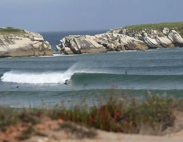 אכסניה Alex Surf