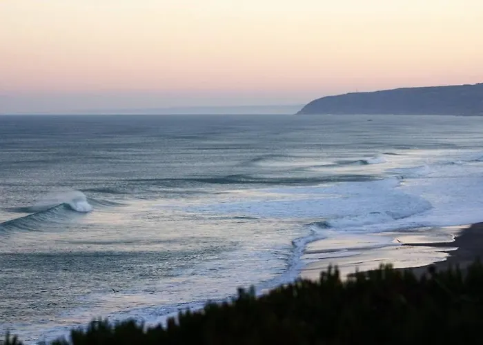 Alex Surf אכסניה *