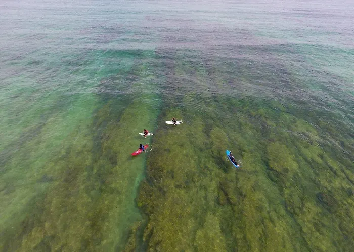 Alex Surf בליאל